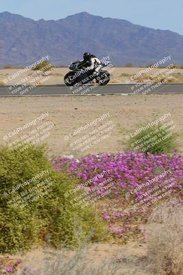 media/Mar-12-2023-SoCal Trackdays (Sun) [[d4c8249724]]/Turn 15 Inside Bloom (130pm)/